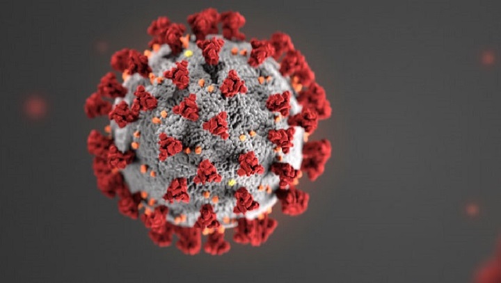 Trump furious CDC issued coronavirus warnings that scared securities market