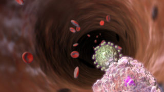 Coronavirus validated as pandemic by Globe Wellness Organization